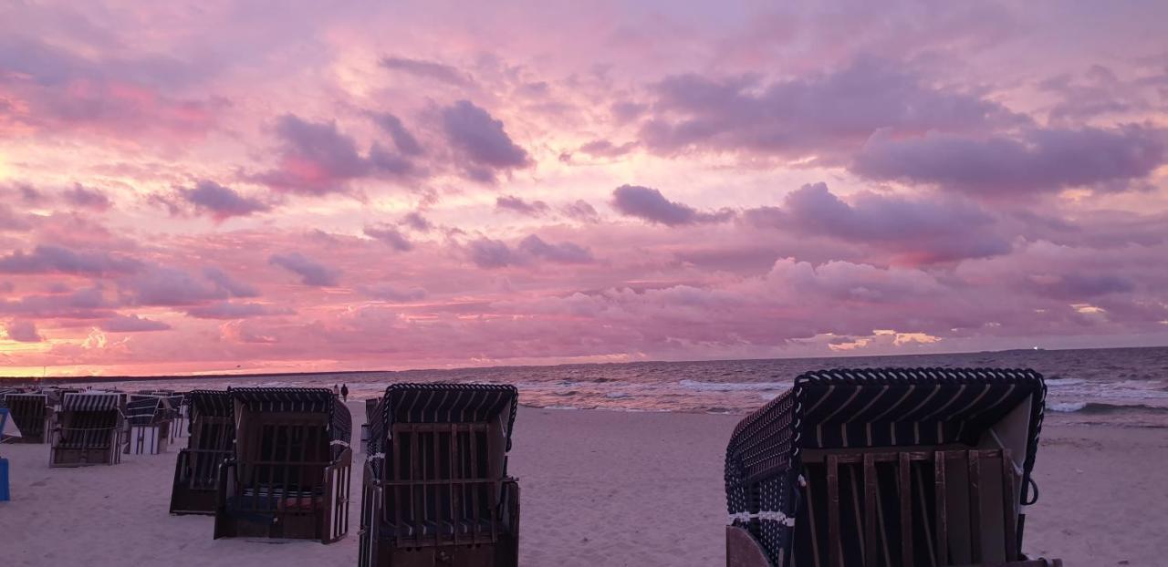 Stranddistel * Ostseebad Zinnowitz