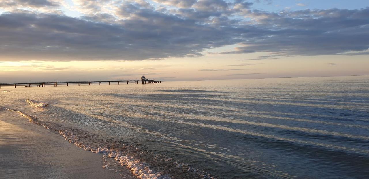 Stranddistel - Von 30 Bis 75 Qm Apartament *