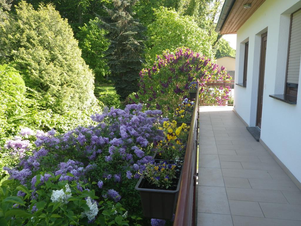 Stranddistel - Von 30 Bis 75 Qm Apartamento Zinnowitz