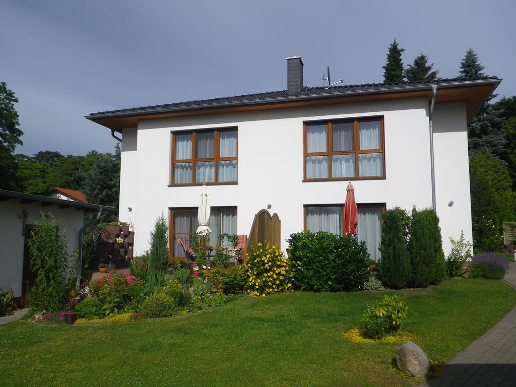 Stranddistel - Von 30 Bis 75 Qm Apartament