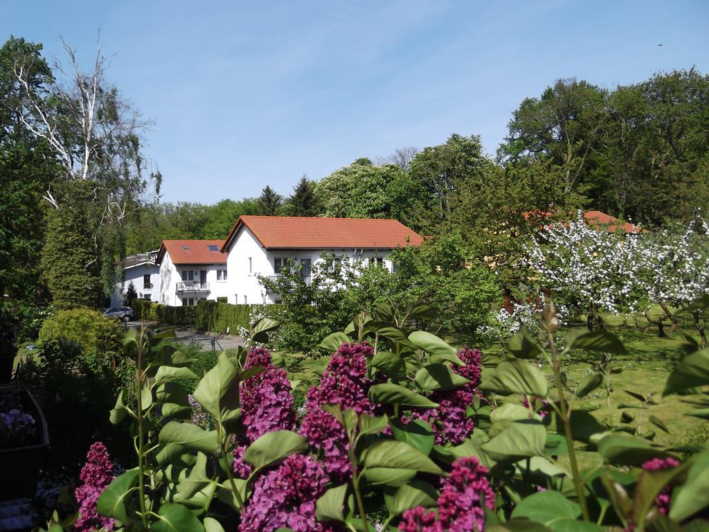 Stranddistel - Von 30 Bis 75 Qm Apartament