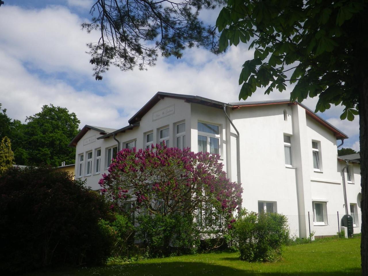 Stranddistel - Von 30 Bis 75 Qm Zinnowitz